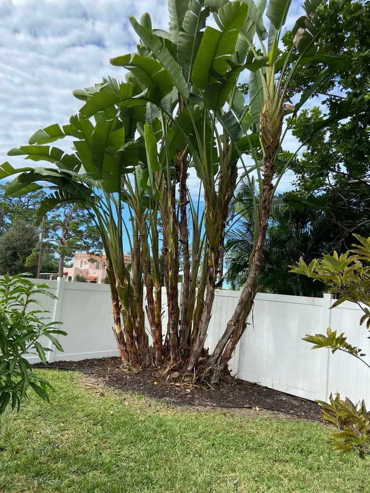 Reliable yard maintenance in Bradenton, FL - JB Family Lawn Care