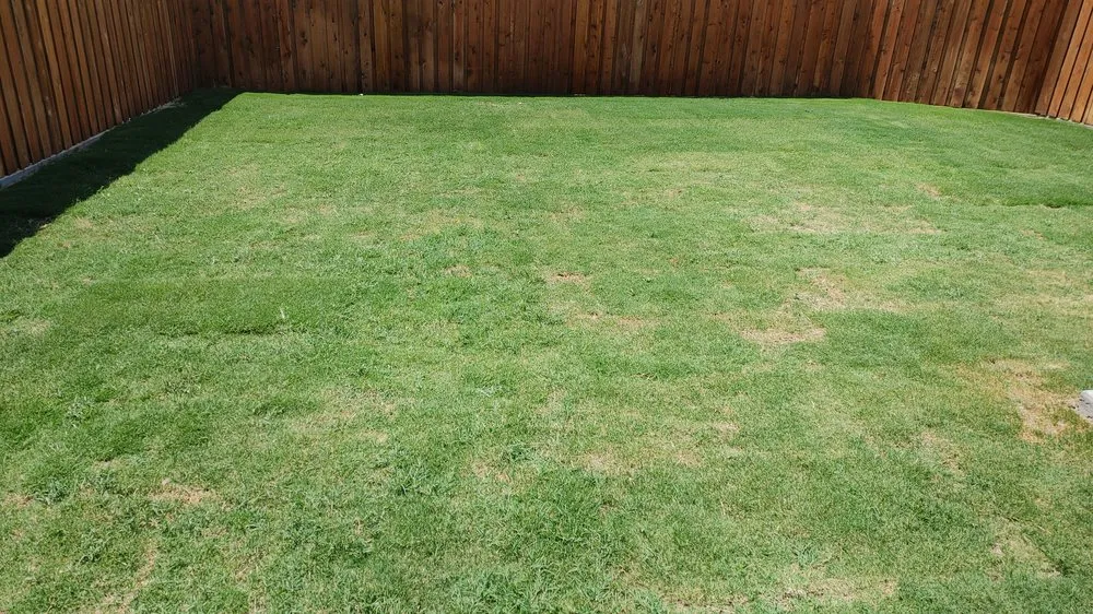 Local yard cleanup service in Midland, TX - JB Fence Stain and Restoration