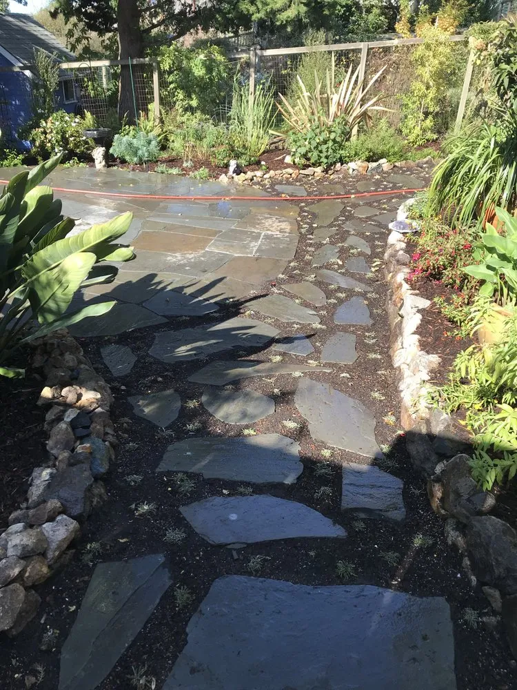 Professional lawn care service in Richmond, CA - JB Garden Care