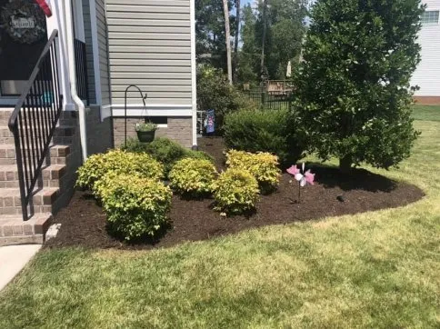 Local yard cleanup service experts serving Richmond, VA - JB Grounds Services