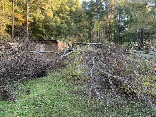 JB Grounds Services Logo