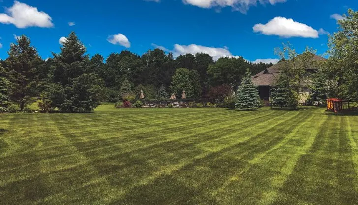 Reliable yard cleanup service experts serving Hatboro, PA - Jb Home Services