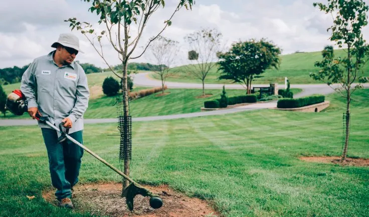 Reliable lawn mowing service in Hatboro, PA - Jb Home Services