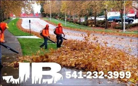 Trusted landscape installation in Springfield, OR - JB Landscape Maintenance