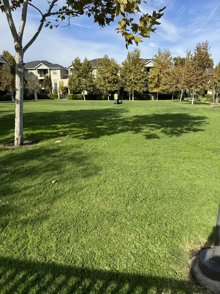 Top-rated lawn care service in Mountain View, CA - JB Landscape Management