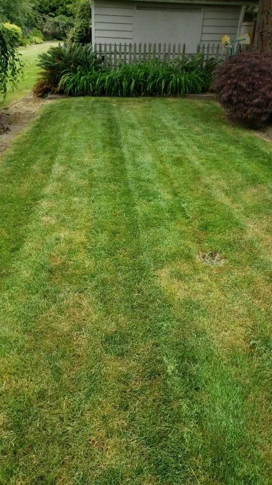 Affordable garden landscaping in Spanaway, WA - JB Landscape Service