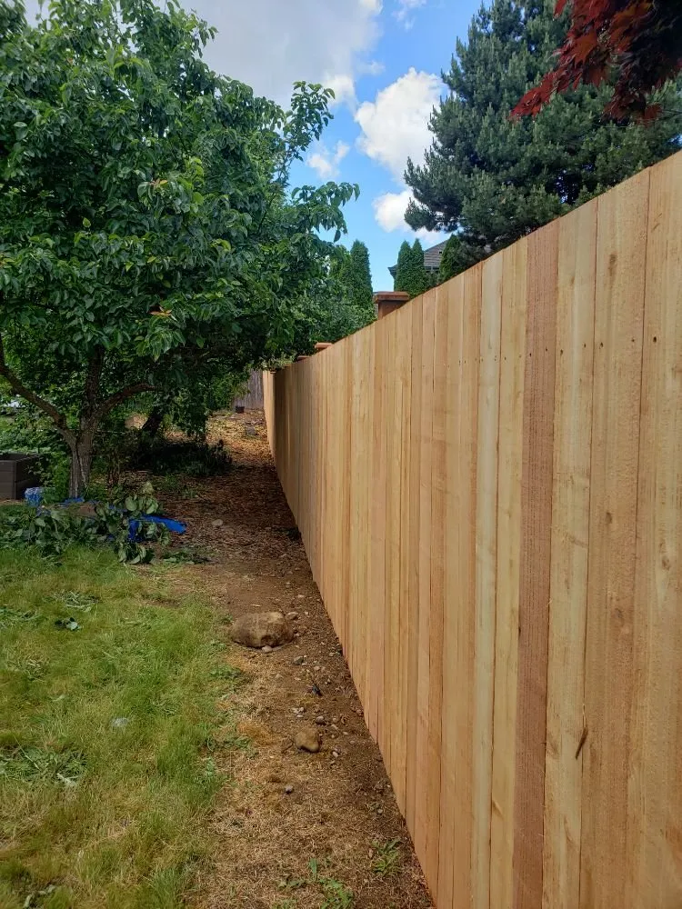 Top-rated landscaping services experts serving Spanaway, WA - JB Landscape Service