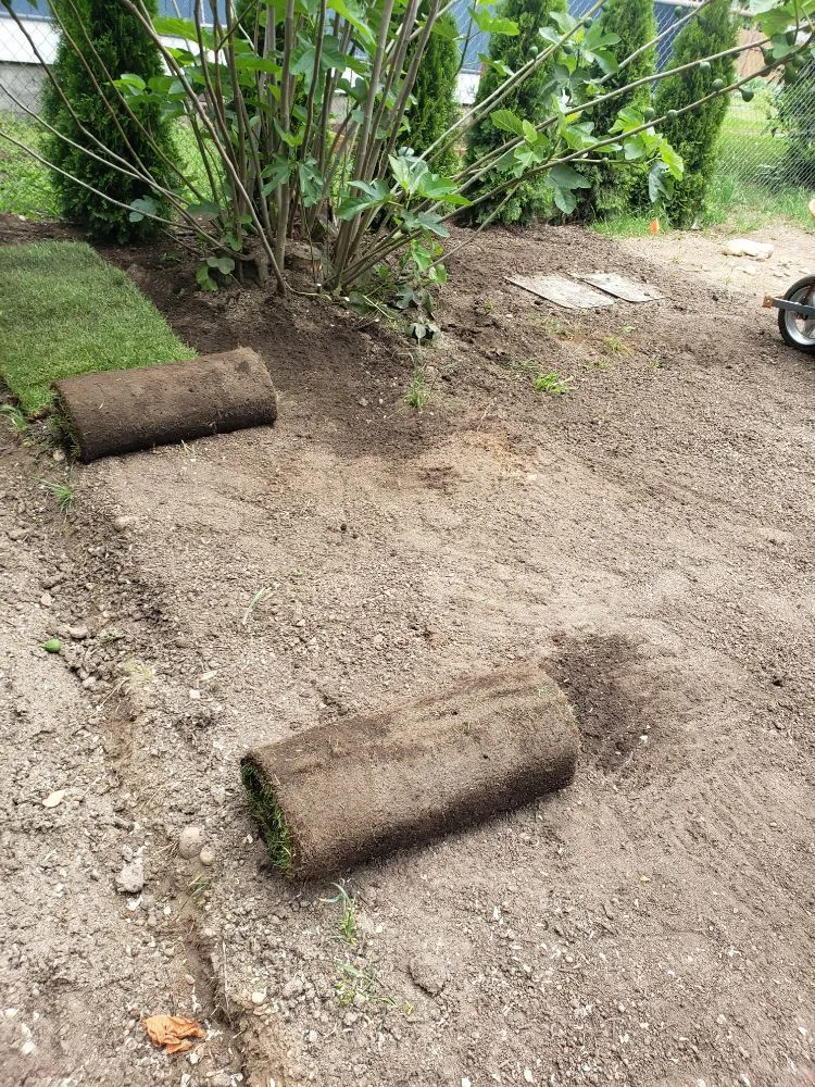 Affordable lawn mowing service in Spanaway, WA by JB Landscape Service