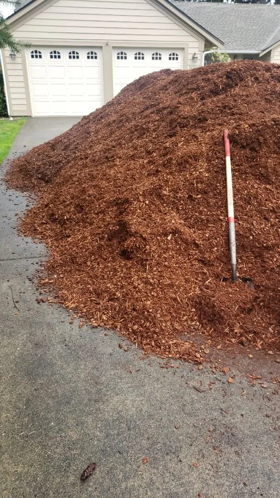 Local yard cleanup service experts serving Spanaway, WA - JB Landscape Service