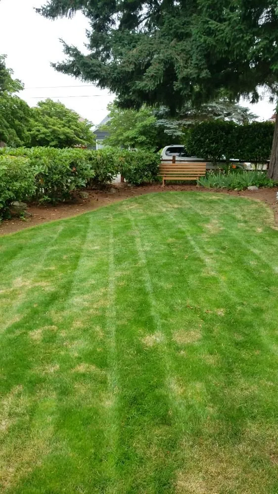 Local landscape installation in Spanaway, WA - JB Landscape Service