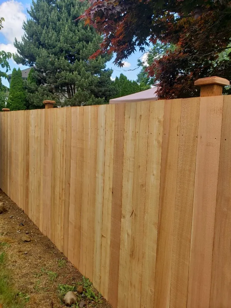 Top-rated lawn mowing service in Spanaway, WA by JB Landscape Service