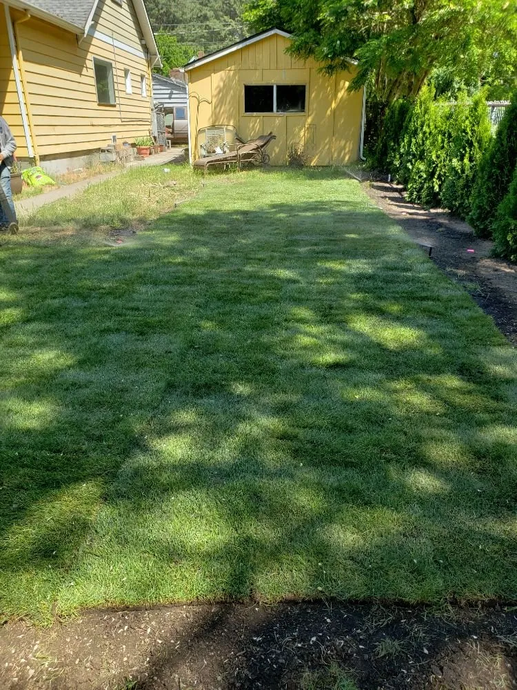 Expert yard maintenance in Spanaway, WA by JB Landscape Service
