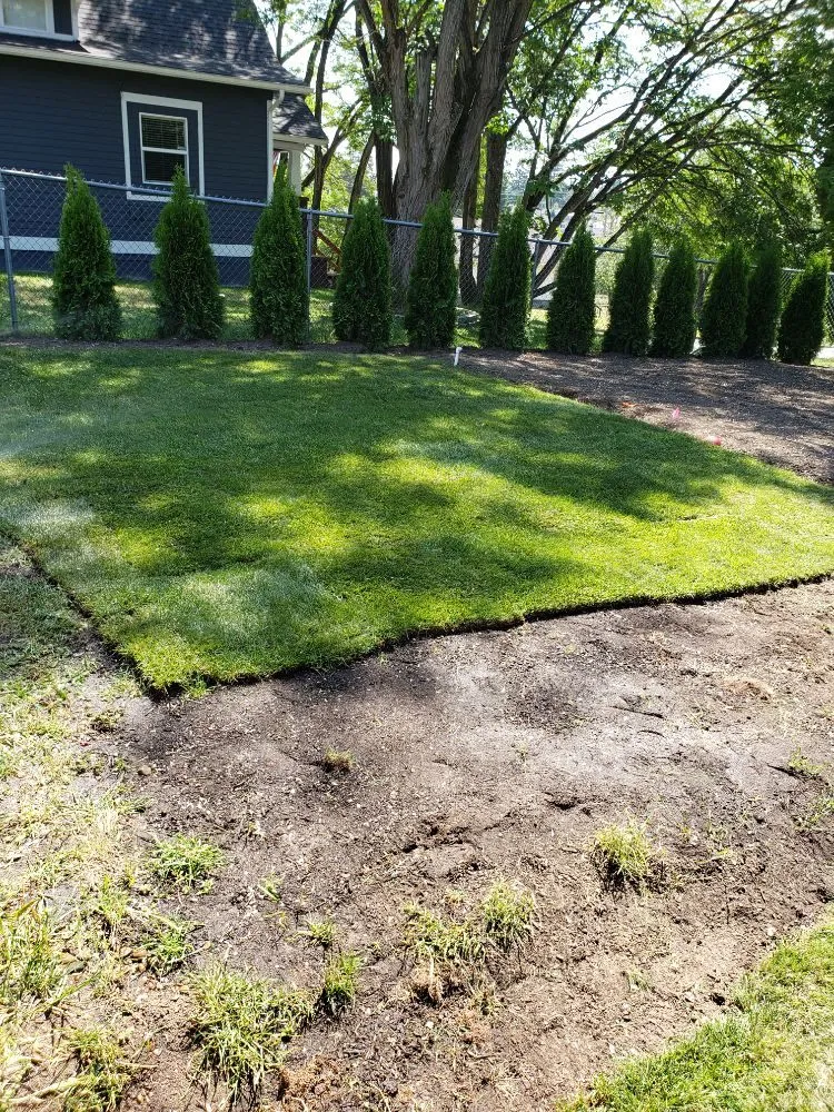 Affordable yard cleanup service in Spanaway, WA by JB Landscape Service