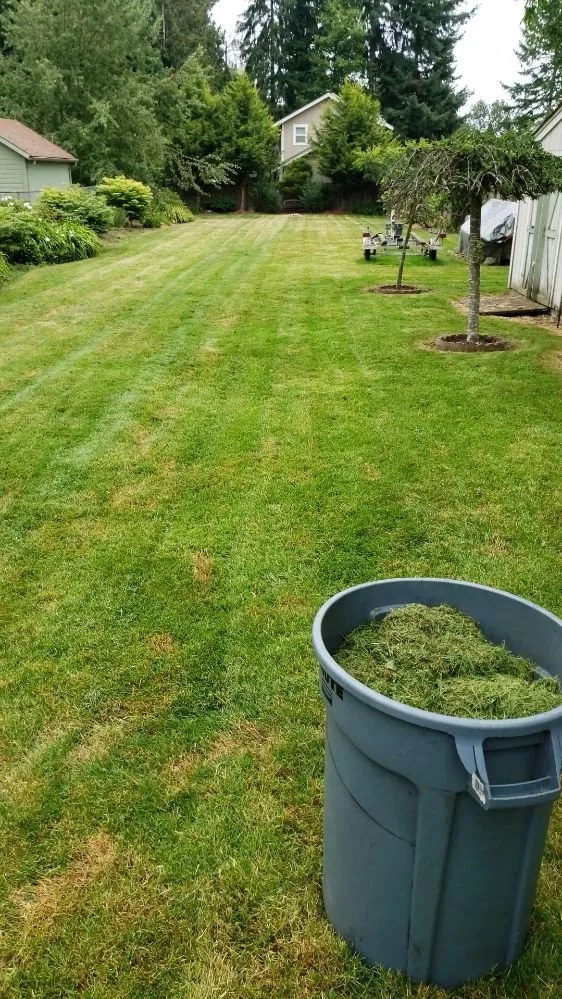 Professional yard cleanup service near you across Spanaway, WA - JB Landscape Service