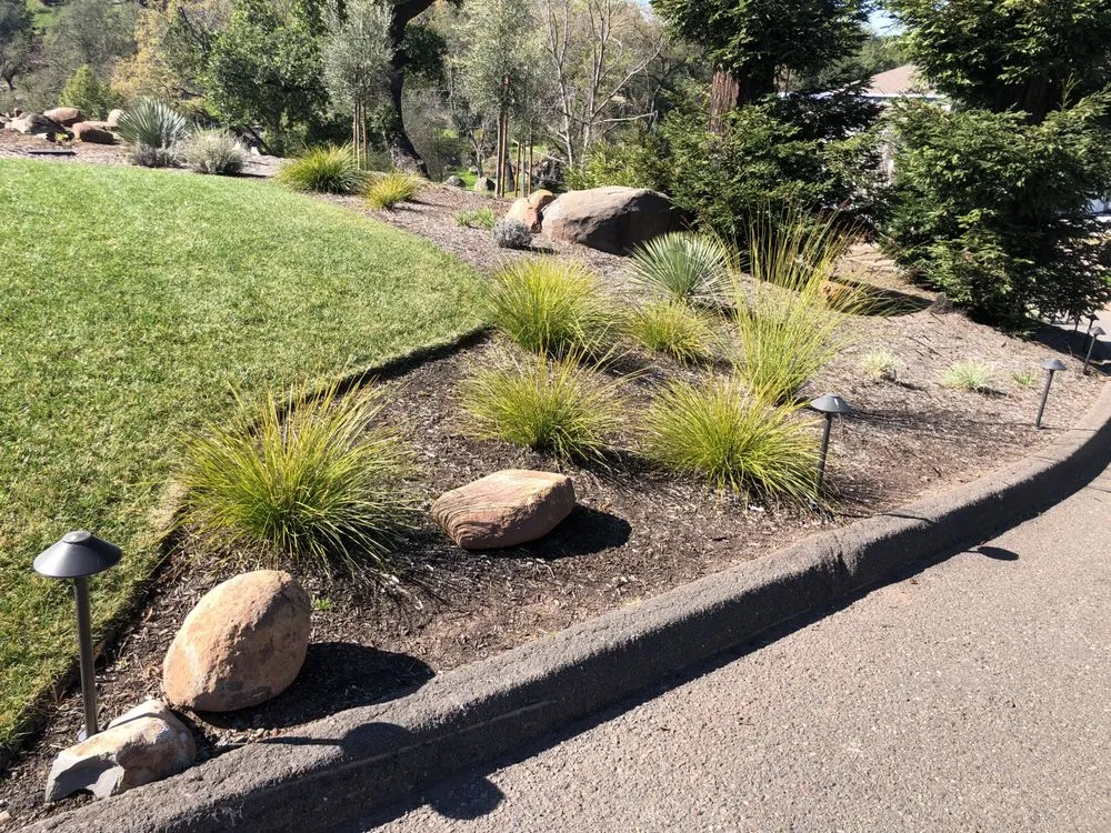 Professional yard maintenance experts serving Windsor, CA - JB Landscape