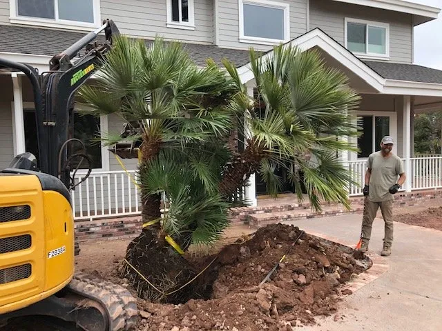 Local garden landscaping experts serving Windsor, CA - JB Landscape