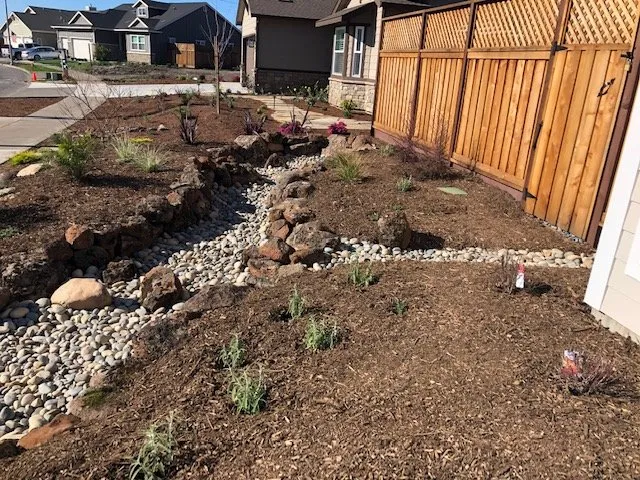 Professional yard maintenance in Windsor, CA by JB Landscape