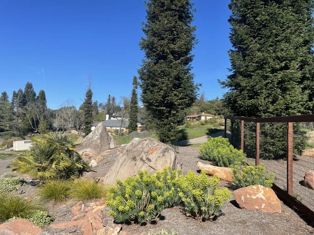 Trusted yard cleanup service in Windsor, CA - JB Landscape