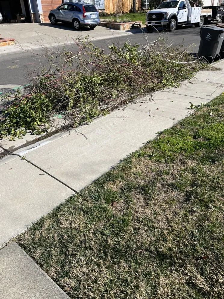 Expert garden landscaping in Woodland, CA - JB Landscape