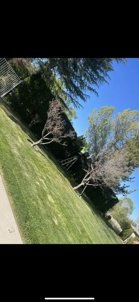 Professional landscape design for year-round maintenance in Reno, NV by JB Landscaping & Lawn Care