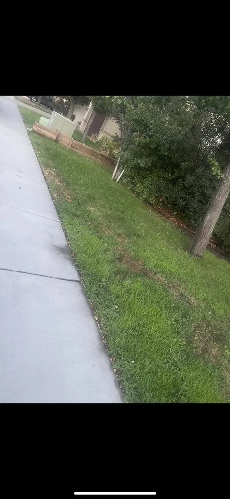 Expert landscape design in Reno, NV by JB Landscaping & Lawn Care