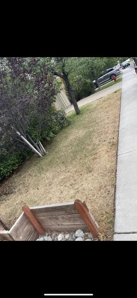 Reliable lawn care service for year-round maintenance in Reno, NV by JB Landscaping & Lawn Care