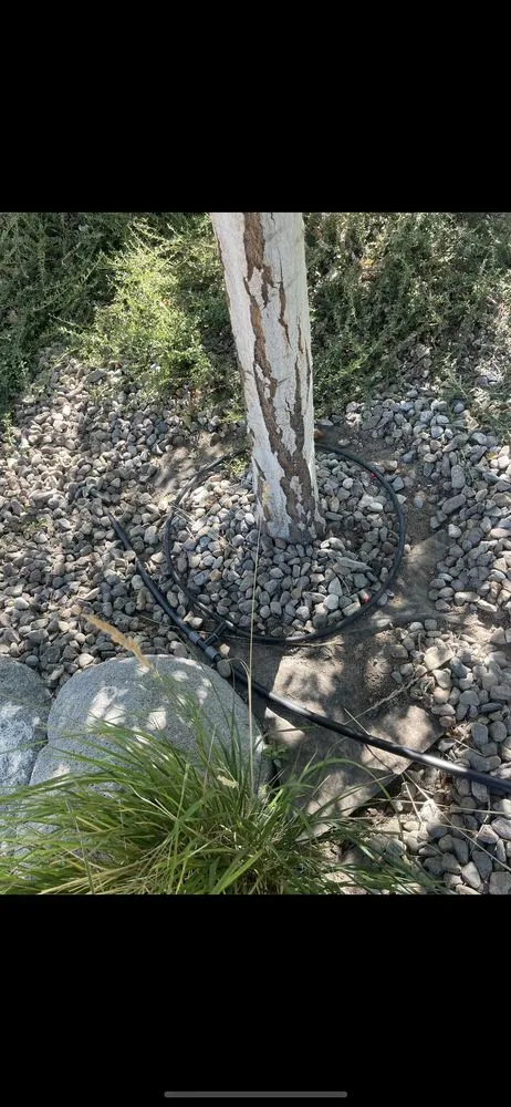 Local yard maintenance for year-round maintenance in Reno, NV by JB Landscaping & Lawn Care