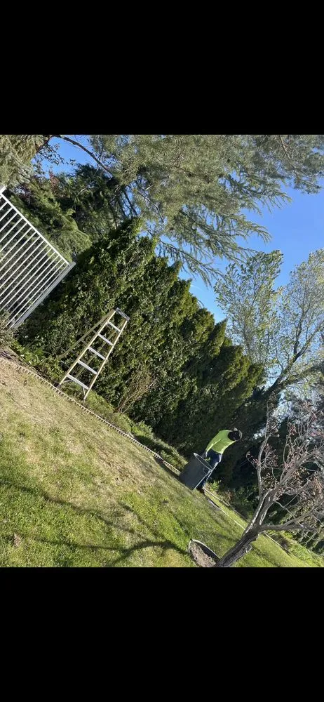 Affordable yard cleanup service experts serving Reno, NV - JB Landscaping & Lawn Care