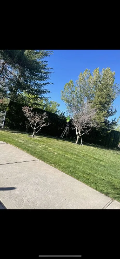 Expert landscape installation near you in Reno, NV by JB Landscaping & Lawn Care