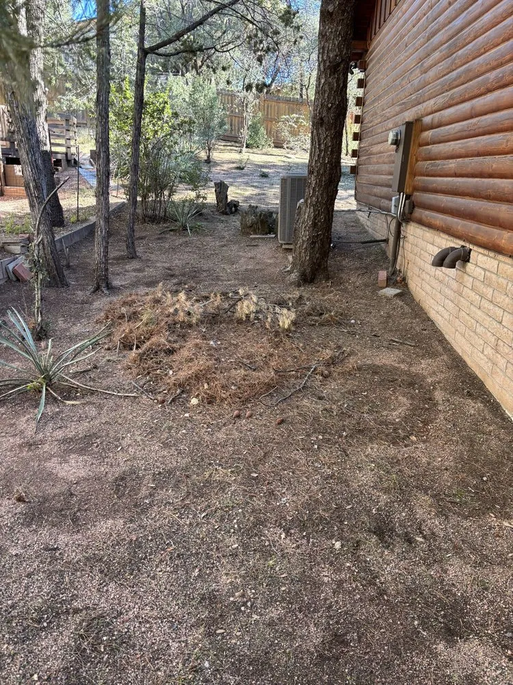 Trusted landscape design in Payson, AZ by JB Landscaping and Hauling