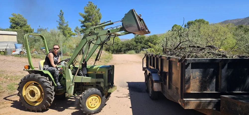 Expert yard maintenance in Payson, AZ by JB Landscaping and Hauling