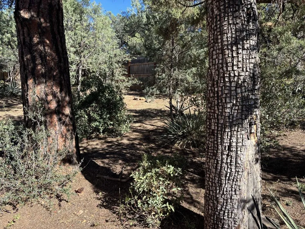 Trusted outdoor landscaping experts serving Payson, AZ - JB Landscaping and Hauling