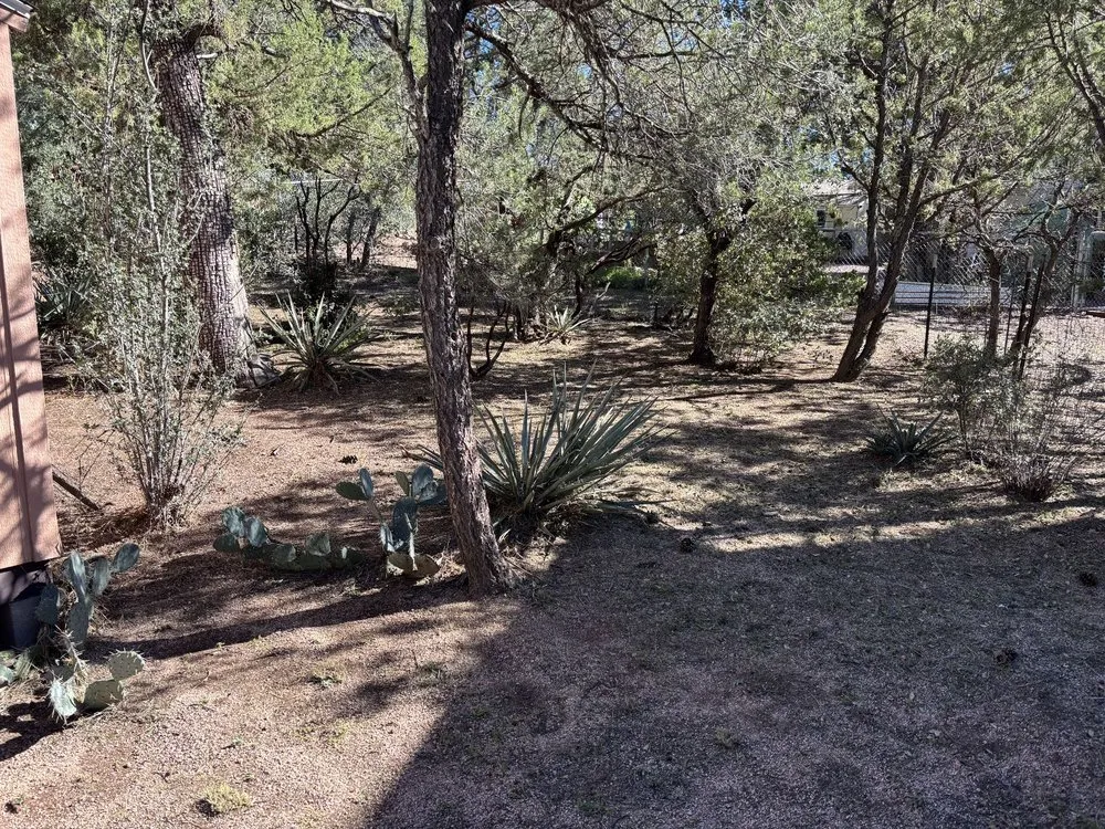 Top-rated lawn mowing service in Payson, AZ by JB Landscaping and Hauling