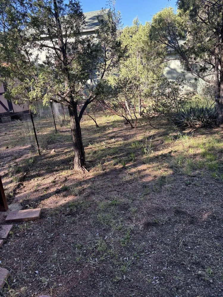 Affordable residential landscaping in Payson, AZ - JB Landscaping and Hauling