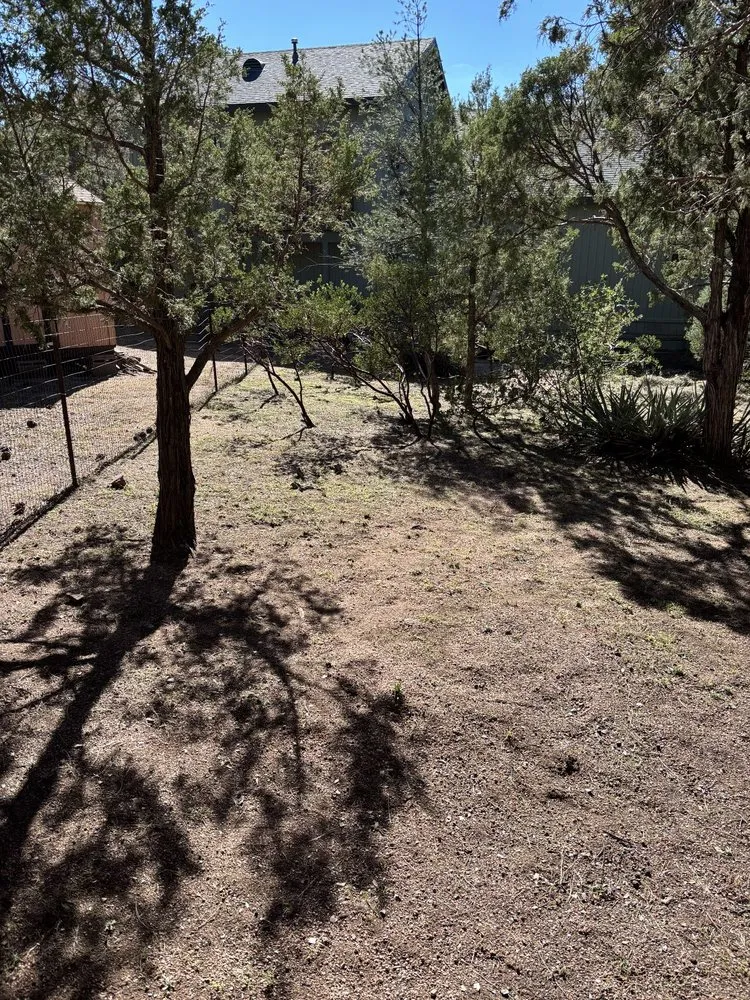 Trusted yard maintenance in Payson, AZ by JB Landscaping and Hauling