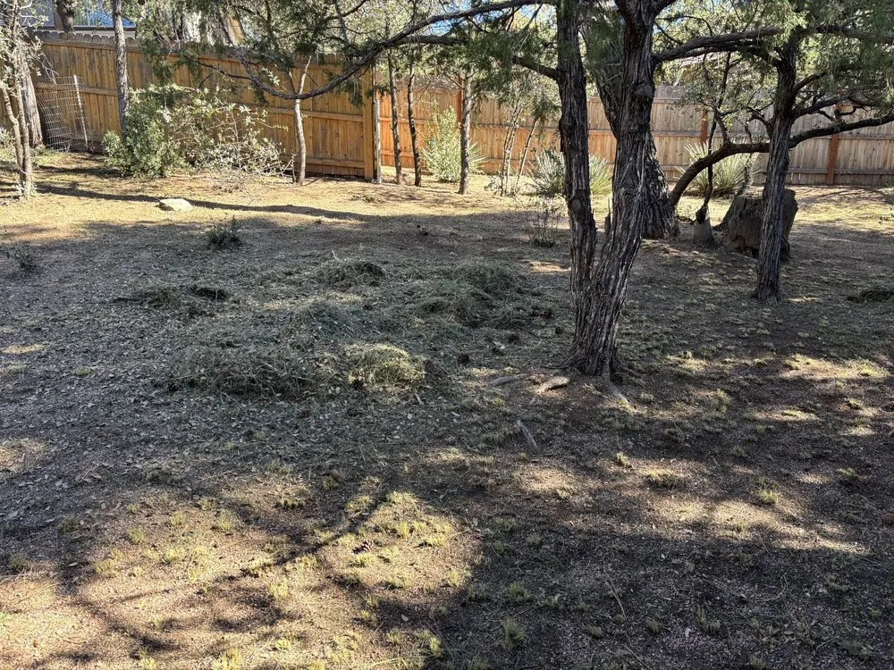 Trusted lawn care service in Payson, AZ - JB Landscaping and Hauling