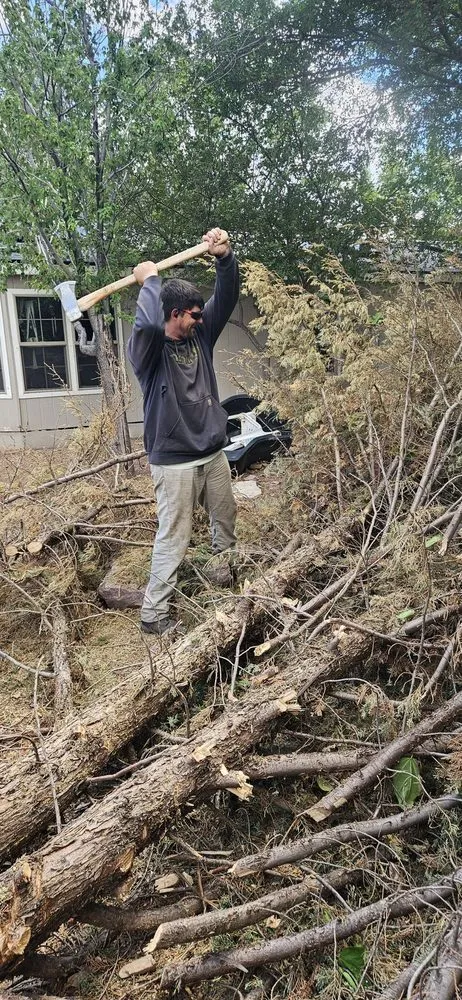 Local lawn care service for residential properties across Payson, AZ - JB Landscaping and Hauling