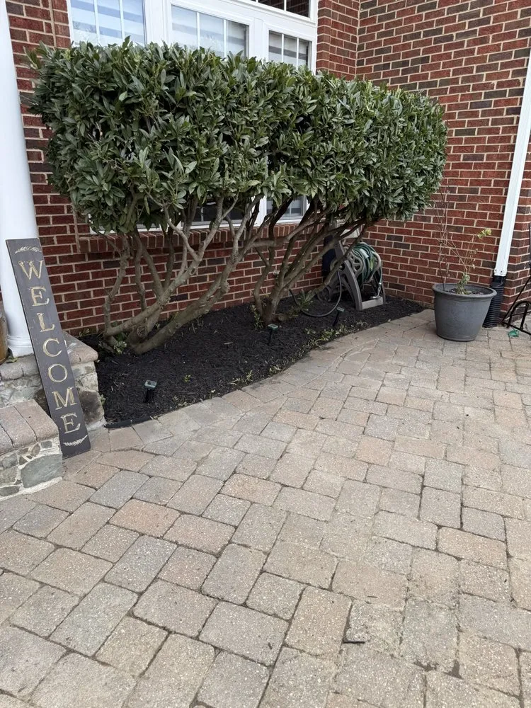 Expert yard maintenance near you in Frederick, MD by JB Landscaping And Junk Removal