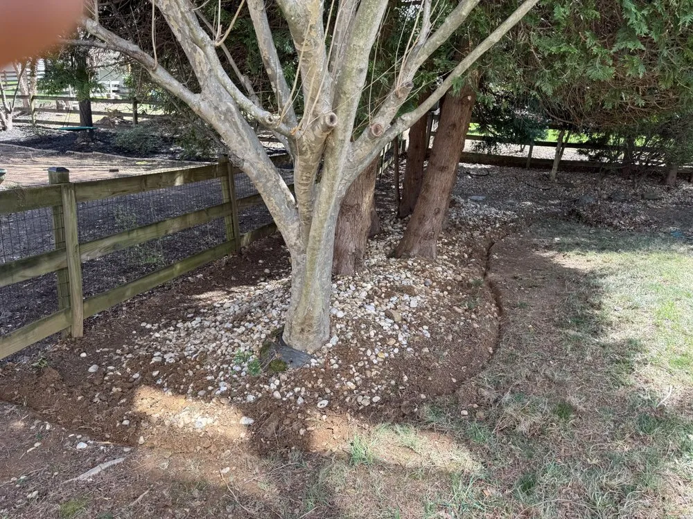 Top-rated lawn care service experts serving Frederick, MD - JB Landscaping And Junk Removal