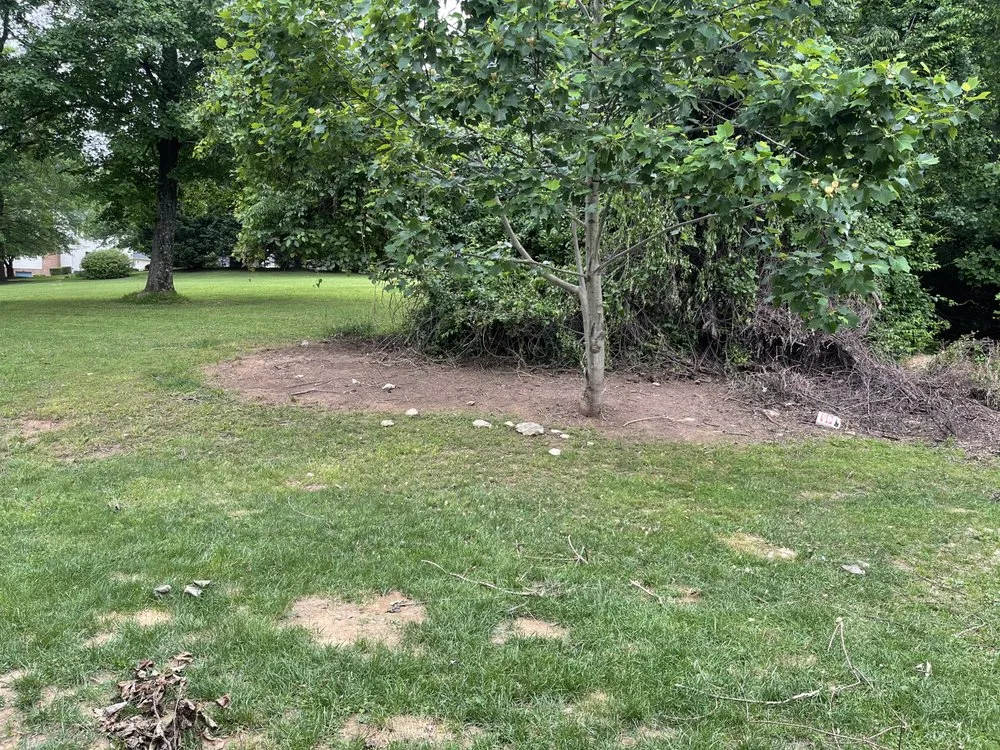 Affordable landscaping services experts serving Frederick, MD - JB Landscaping And Junk Removal