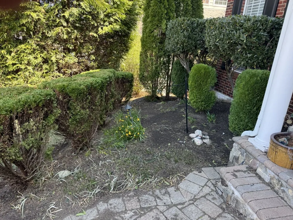 Affordable yard cleanup service in Frederick, MD by JB Landscaping And Junk Removal