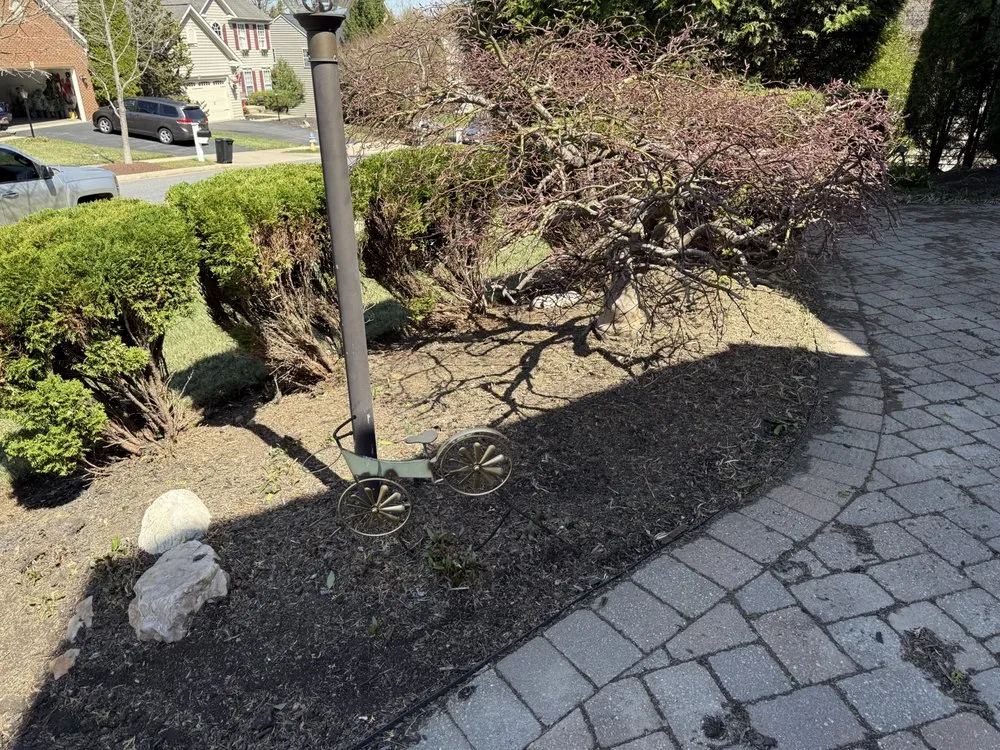 Top-rated outdoor landscaping for beautiful yards in Frederick, MD by JB Landscaping And Junk Removal