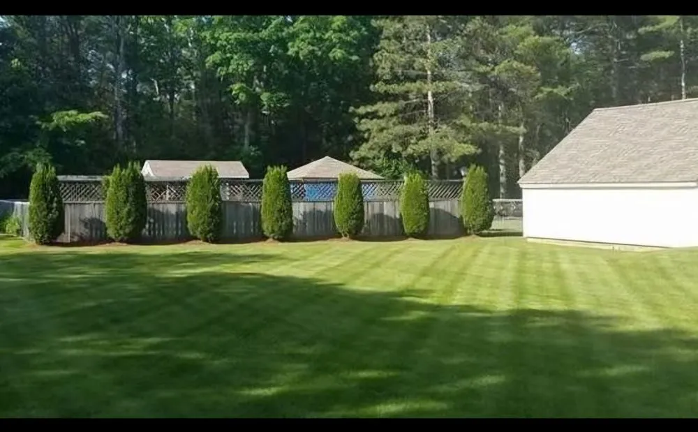 Expert yard cleanup service in Avondale, AZ - J&B Landscaping