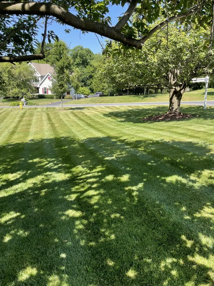 Expert landscape design for homes across Avondale, PA - J&B Landscaping