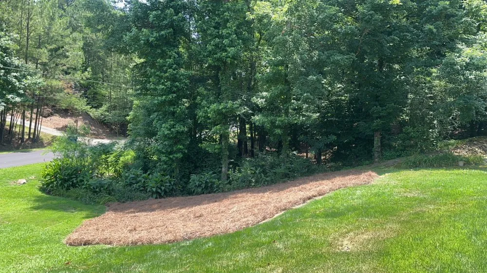 Trusted landscaping services for residential properties in Calera, AL by J&B Landscaping