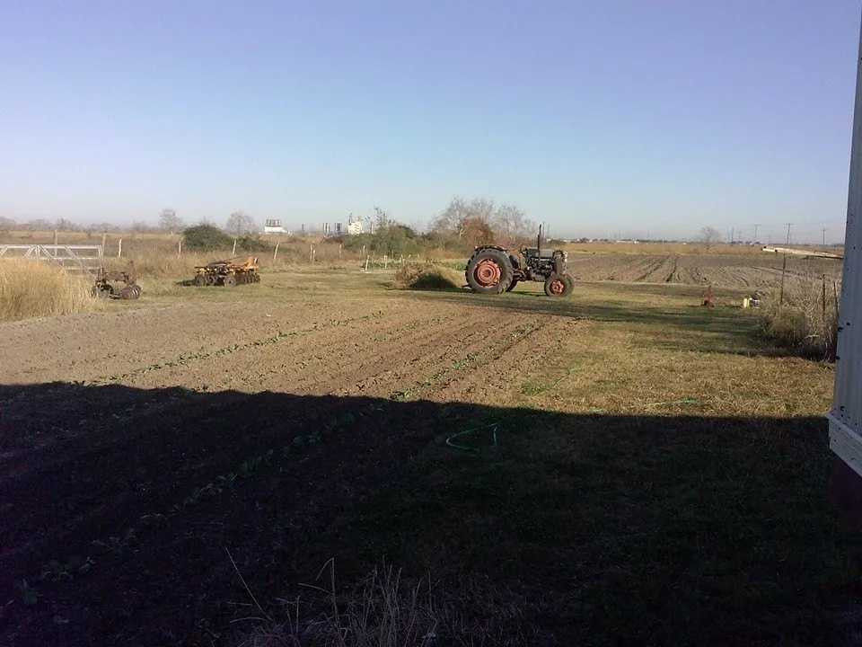 Reliable lawn mowing service for homes in Houston, TX by Jb landscaping