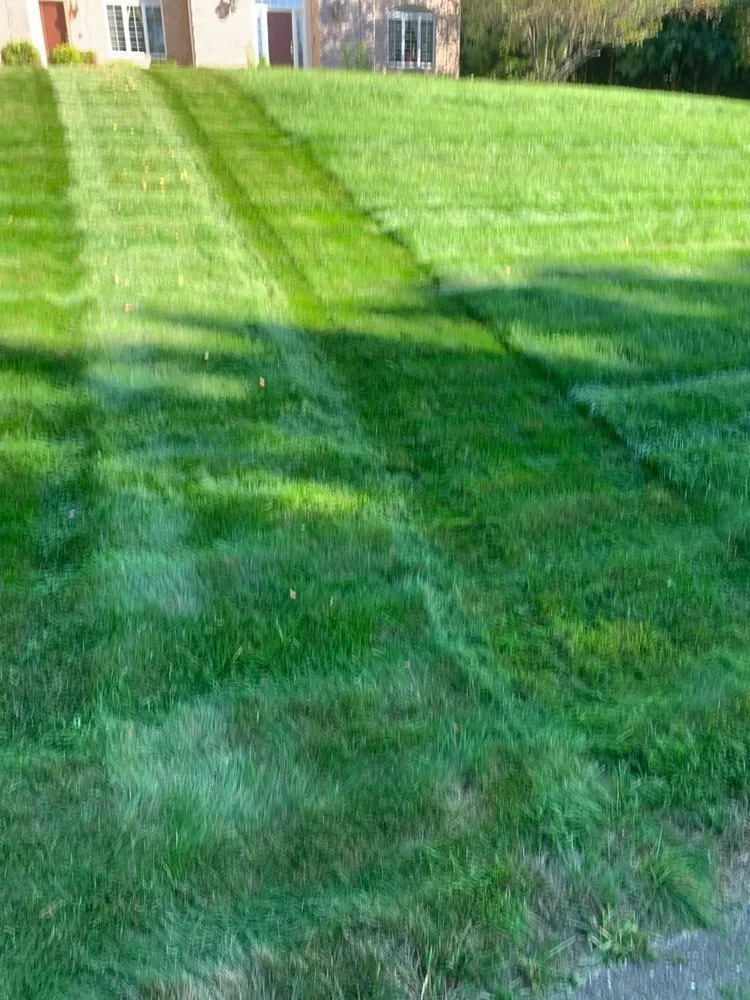 Professional yard maintenance in Saugus, MA by JB LANDSCAPING LLC