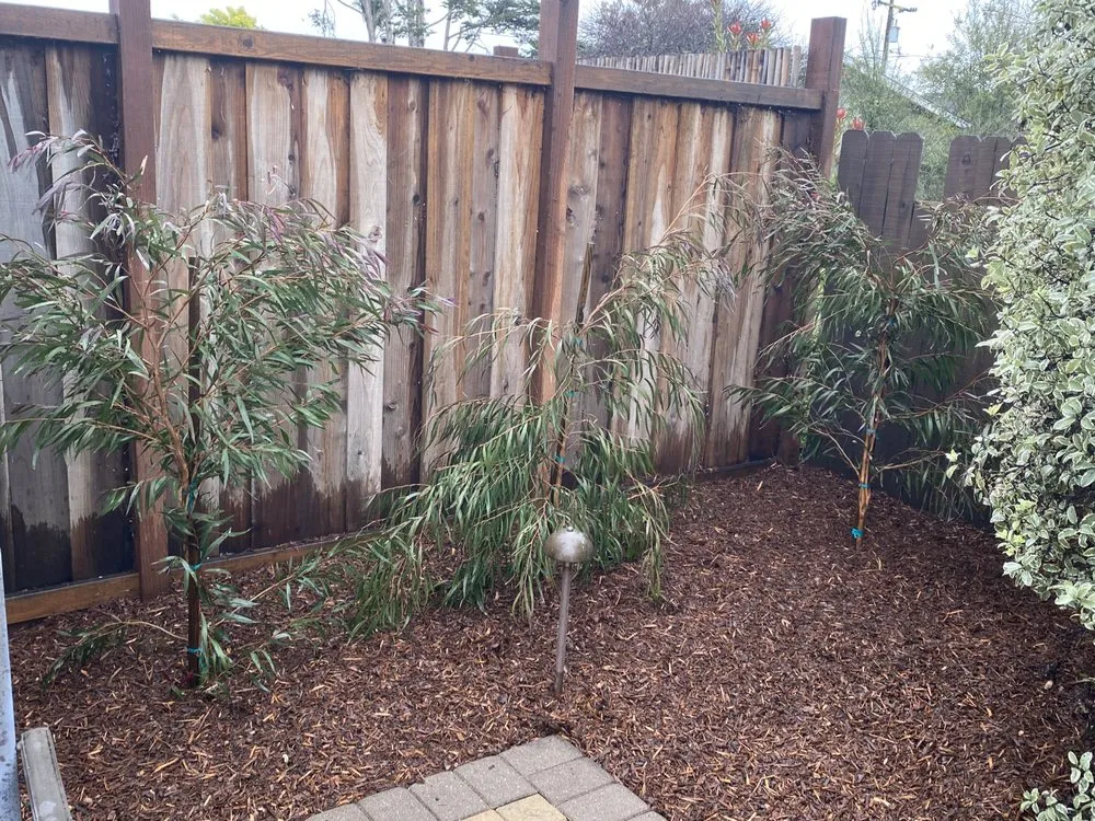 Top-rated outdoor landscaping for outdoor upgrades in Los Osos, CA by J&B Landscaping