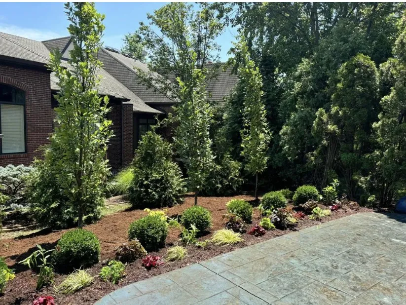 Affordable yard maintenance for outdoor upgrades in Los Osos, CA by J&B Landscaping