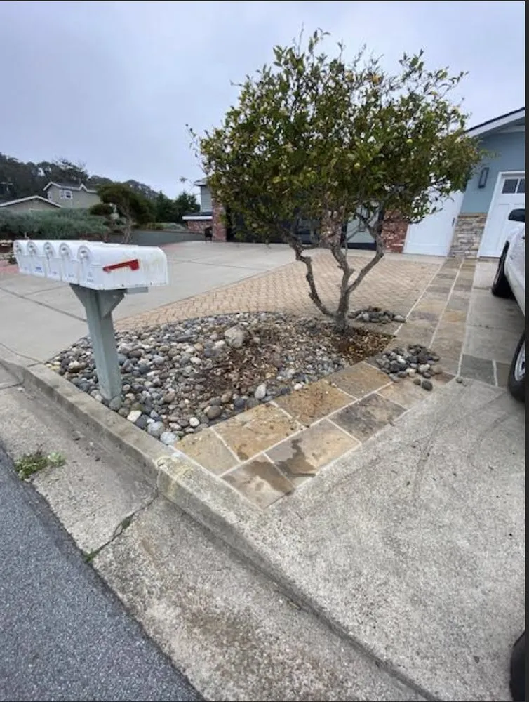 Professional outdoor landscaping for year-round maintenance across Los Osos, CA - J&B Landscaping